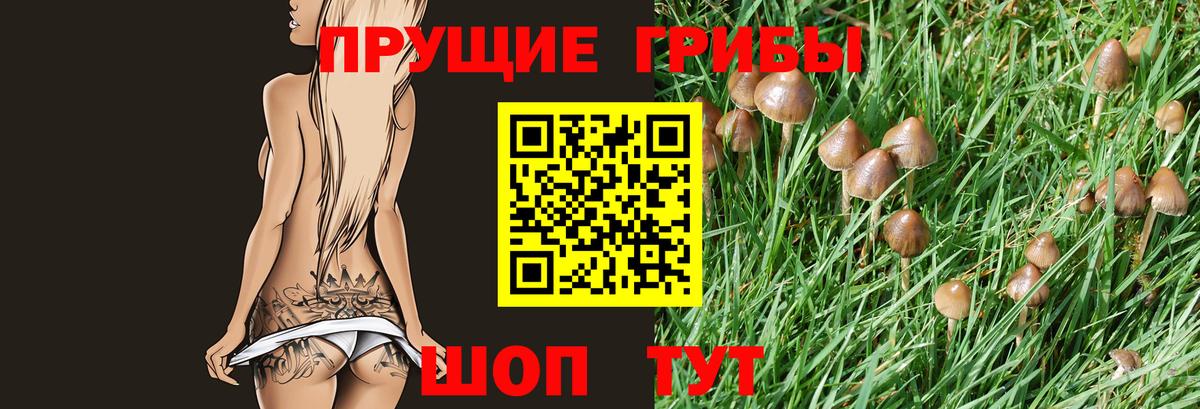Псилоцибиновые грибы Psilocybe  Вход с VPN  Приморско-Ахтарск  Галлюциногенные грибы мухоморы 